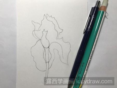 彩铅画写意花卉怎么画