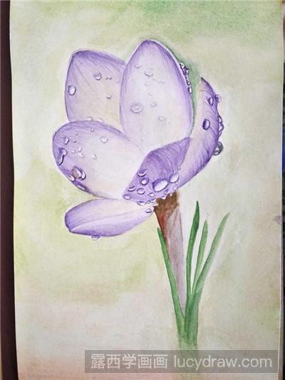 水彩画教程：教你画带着水滴的花朵
