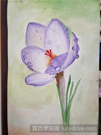 水彩画教程：教你画带着水滴的花朵