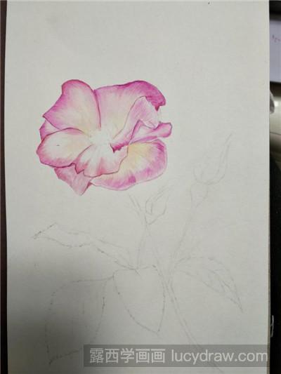 水彩画教程：教你画玫瑰花