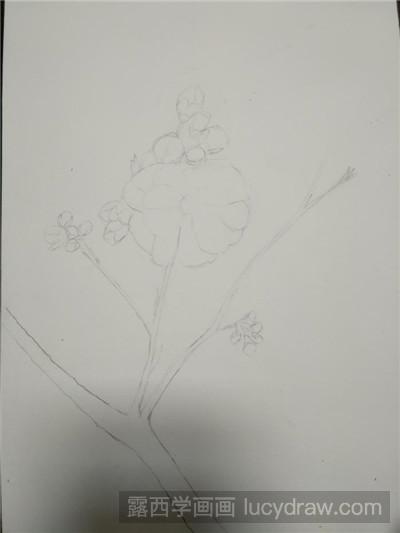 水彩画教程：教你画盛开的花儿