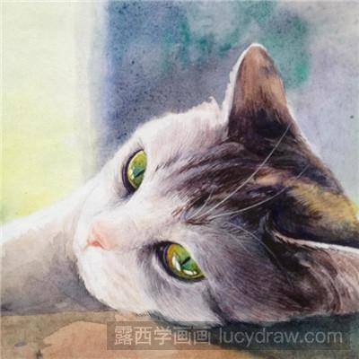 水彩画教程：教你画晒太阳的猫咪