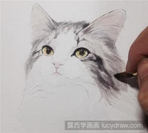 挪威森林猫水彩画教程