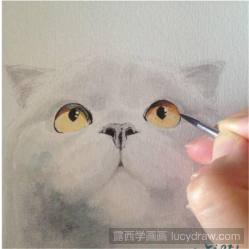 英短猫水彩画教程
