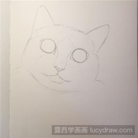 教你画素描布偶猫