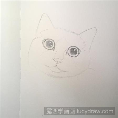 教你画素描布偶猫