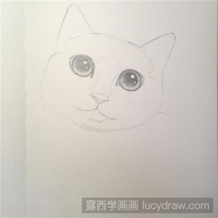 教你画素描布偶猫