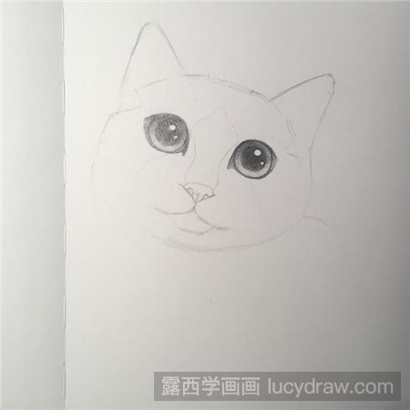 教你画素描布偶猫