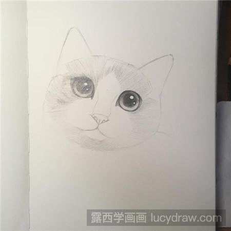 教你画素描布偶猫