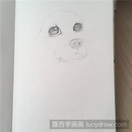 教你画素描狗狗