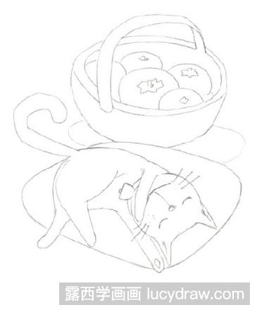 睡着的猫彩铅画教程