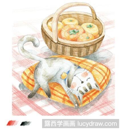 睡着的猫彩铅画教程