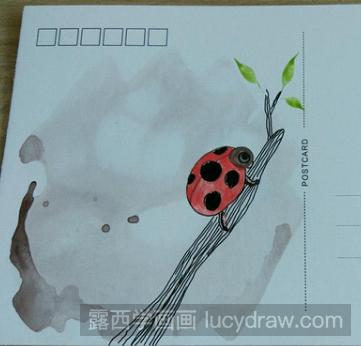 昆虫儿童画：教你画七星瓢虫