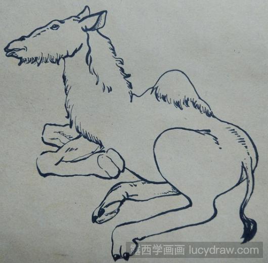 动物儿童画：教你画骆驼