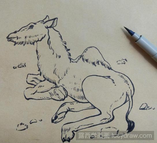 动物儿童画：教你画骆驼
