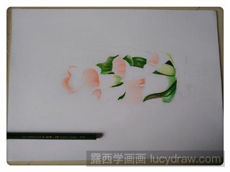 漂亮的彩铅花束怎么画