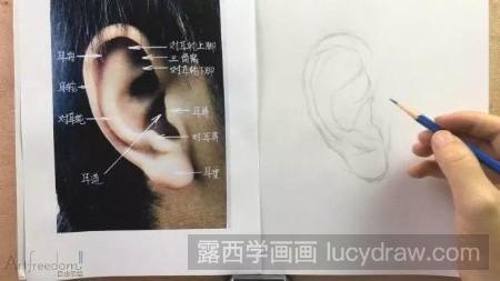 素描耳朵怎么画