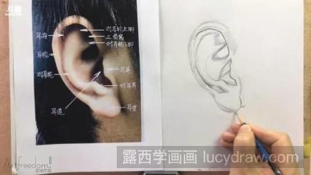 素描耳朵怎么画