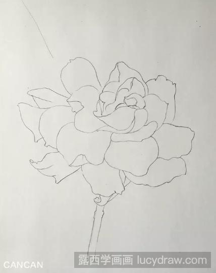 彩铅花卉教程：教你画一朵栀子花