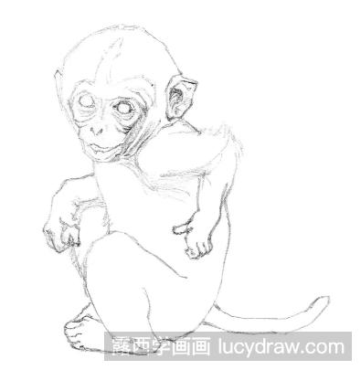 动物素描教程：小猴子的画法