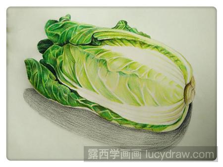 彩铅画白菜怎么画