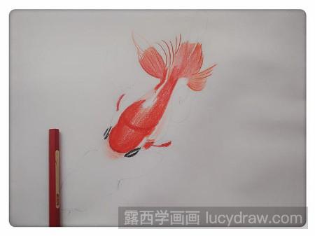教你画红色小金鱼