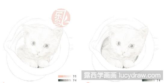 毛茸茸的猫咪彩铅画教程