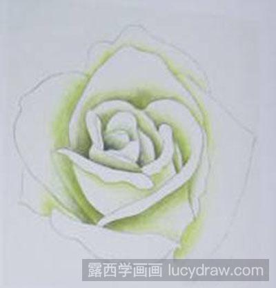 白玫瑰着色画法教程