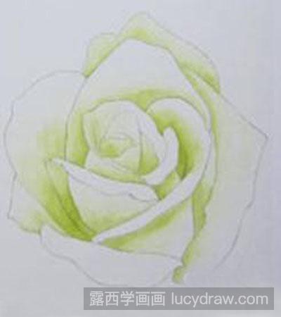 白玫瑰着色画法教程