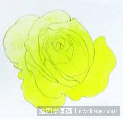 黄玫瑰着色画法教程
