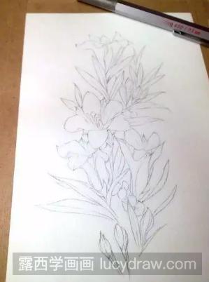 水彩花卉教程：教你画一株盛开的鲜花