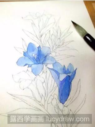 水彩花卉教程：教你画一株盛开的鲜花