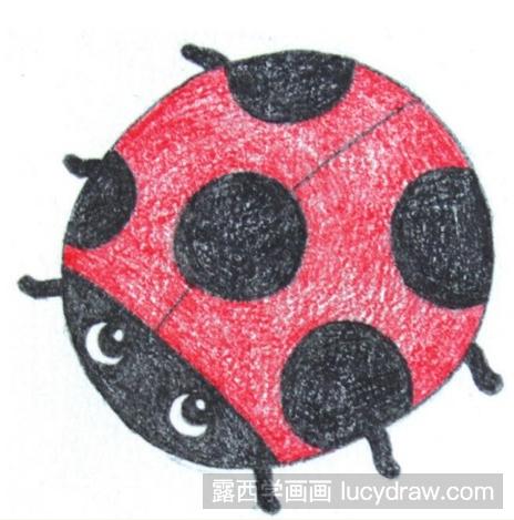 昆虫儿童画：七星瓢虫的画法