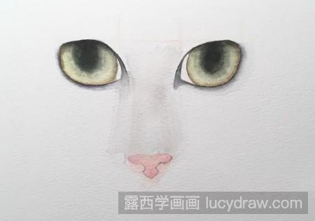 猫咪眼睛图片简单画法图片