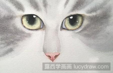 教你画猫咪眼睛