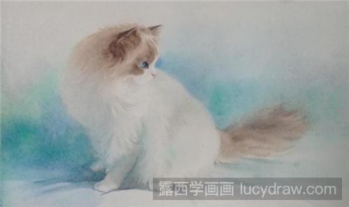 布偶猫水彩画教程