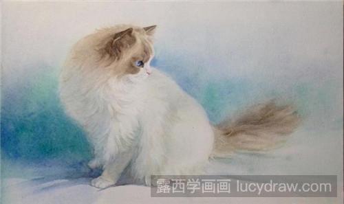 布偶猫水彩画教程