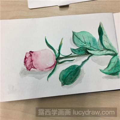 水彩画教程：教你画快手玫瑰