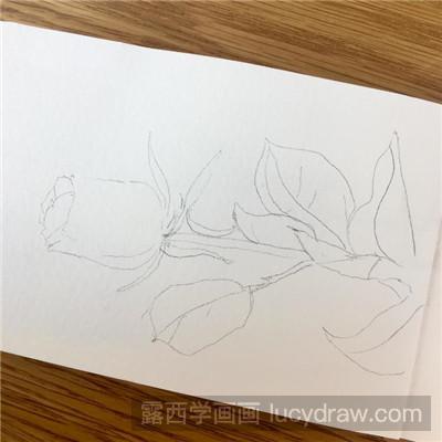 水彩画教程：教你画快手玫瑰