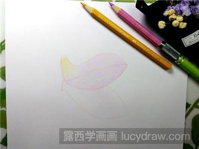 彩铅画教程：教你画一片寂寞花瓣