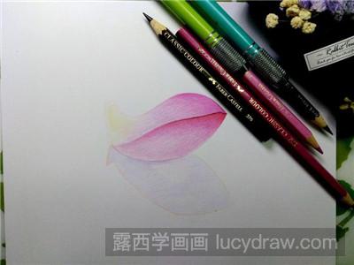 彩铅画教程：教你画一片寂寞花瓣