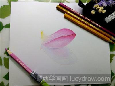 彩铅画教程：教你画一片寂寞花瓣