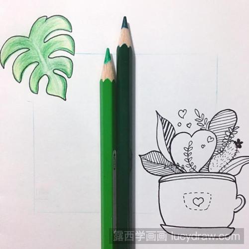 龟背竹和小绿植插画教程