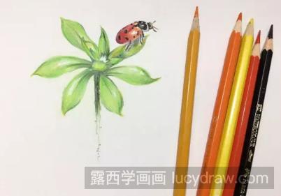 彩铅画叶片上的小瓢虫步骤教程