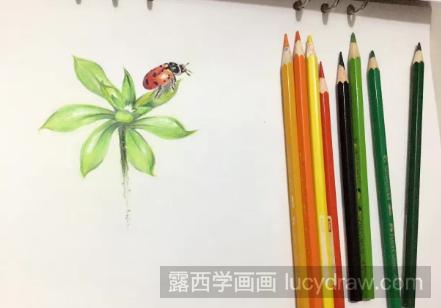 彩铅画叶片上的小瓢虫步骤教程