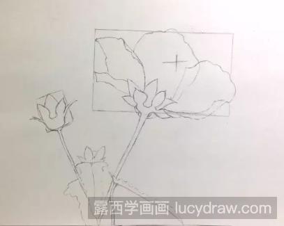 零基础彩铅画教程：高砂芙蓉的画法