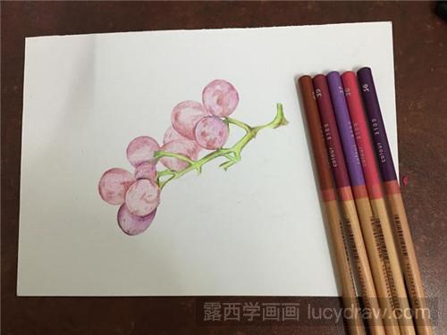 红提彩铅画教程