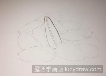 彩铅画写实的葵瓜子教程