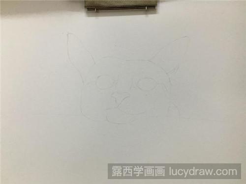 小萌猫彩铅画教程