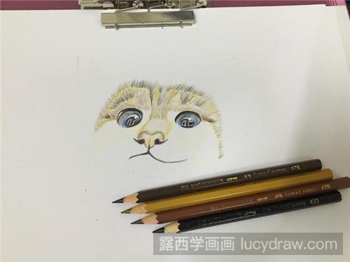 小萌猫彩铅画教程